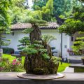 Integrating Feng Shui with Classic English Garden Styles: Positioning Tips and Best Practices