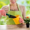 The Ultimate Guide to Spring Cleaning with Feng Shui: Refreshing Your UK Home for the New Season