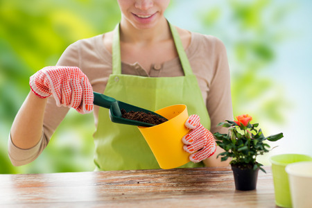 The Ultimate Guide to Spring Cleaning with Feng Shui: Refreshing Your UK Home for the New Season