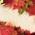 The Role of Colour in Autumn Feng Shui: British Palettes and Seasonal Shifts