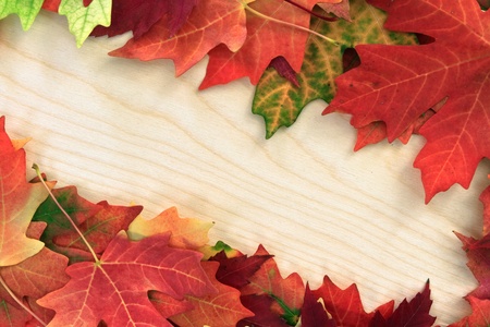 The Role of Colour in Autumn Feng Shui: British Palettes and Seasonal Shifts