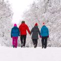 Embracing Winter: How Feng Shui Principles Enhance Cosiness in British Homes