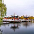 Comparing Traditional and Modern Feng Shui Lucky Charms in the UK