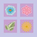 Integrating Native British Flora into Feng Shui Garden Pathways
