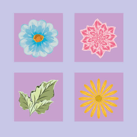 Integrating Native British Flora into Feng Shui Garden Pathways
