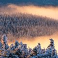 Channelling Winter Sunlight: UK-specific Feng Shui Techniques for Maximising Natural Light