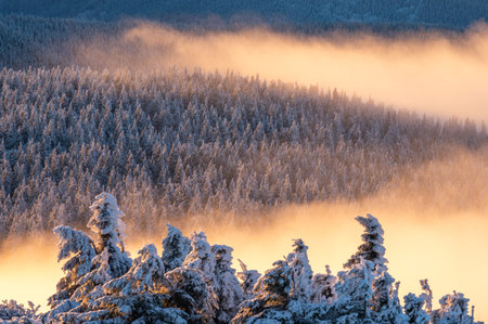 Channelling Winter Sunlight: UK-specific Feng Shui Techniques for Maximising Natural Light