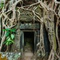 Historical Roots of the Five Elements: From Ancient China to Modern Britain