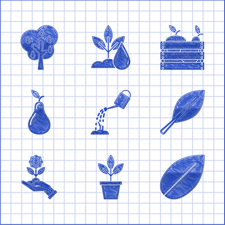 Top Traditional British Plants for Good Energy
