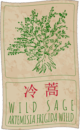 Adapting Feng Shui Principles for British Aesthetics