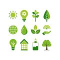 Top Garden Plants for Attracting Positive Energy in the UK Climate