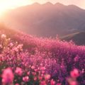 The Best Plants for Love: Feng Shui Flora to Spark Romance in Your Home