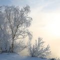 The Science of Warmth: Applying Feng Shui to Create Snug Interiors for UK Winters