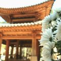 How to Transform Your British Courtyard into a Zen-like Sanctuary with Feng Shui Principles