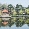 Balancing the Five Feng Shui Elements in a British Garden Setting