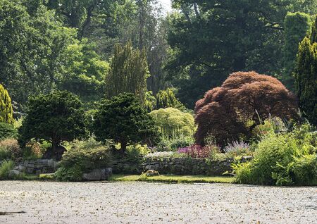 Blending Traditional Feng Shui with English Garden Aesthetics