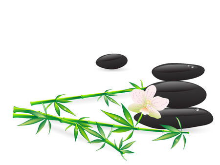 Choosing the Right Water Feature for Your Space