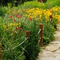 Creating a Harmonious British Garden: The Feng Shui Guide to Outdoor Spaces