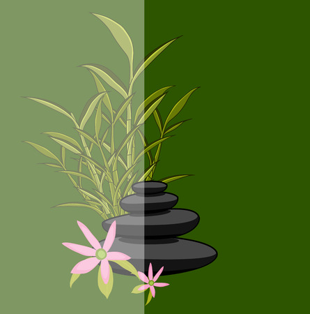 Complementary Values: Feng Shui and English Gardens