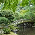 Seasonal Feng Shui in the UK: Adapting Ancient Wisdom for Modern British Homes