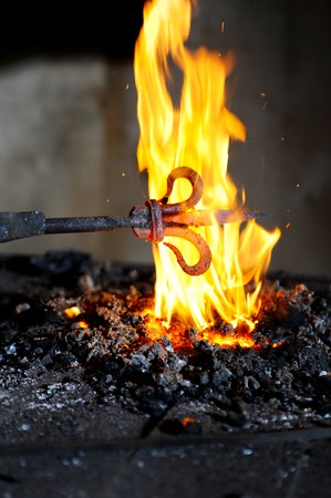 The Five Elements in Feng Shui: Wood, Fire, Earth, Metal, and Water Unveiled