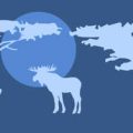 Integrating British Wildlife with Zen Principles for a Harmonious Courtyard