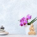 Comparing Classical Chinese and Western Compass Techniques for Home Alignment
