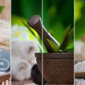 Balancing Qi in the Four British Seasons: Practical Tips for Every Home