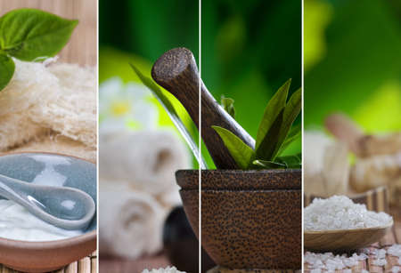 Balancing Qi in the Four British Seasons: Practical Tips for Every Home