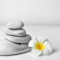 The Spiritual and Psychological Benefits of Feng Shui in the British Context