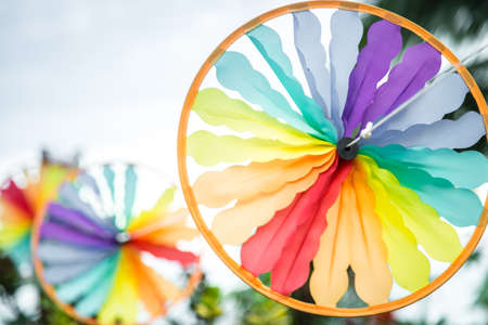 The Impact of Colour in Feng Shui: British Preferences for Calm and Clarity
