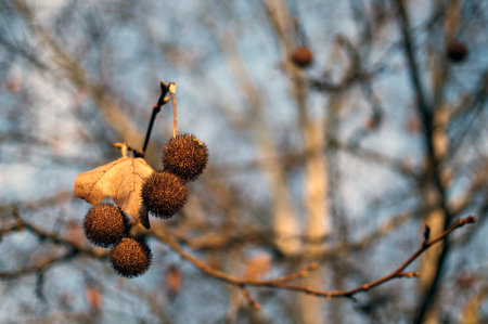Seasonal Clutter Clear-out: Feng Shui Decluttering Tips for Preserving Winter Energy