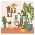 Clearing Clutter Before Winter: Autumn Feng Shui Reset for UK Homes