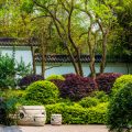 Avoiding Negative Feng Shui: Common Garden Furniture Positioning Mistakes in UK Outdoor Areas
