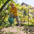 Seasonal Transitions: Applying Feng Shui to Year-Round English Gardening
