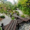 Sustainable Garden Design: Eco-friendly Zen Courtyards with Feng Shui