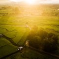 Yin and Yang in the Countryside versus the City: British Perspectives