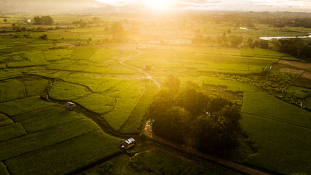 Yin and Yang in the Countryside versus the City: British Perspectives