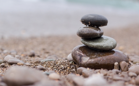 From Cluttered Past to Clear Horizons: A British Guide to Emotional Renewal through Feng Shui