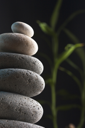 The Science (and Pseudoscience) of Feng Shui: A British Perspective