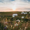 Outdoor Exercise and Energy Flow: British Activities to Reconnect with Natural Elements