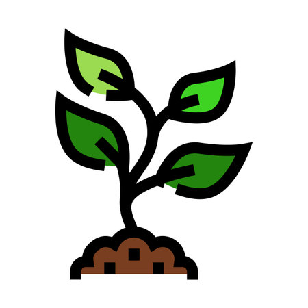 Fireplace Traditions: Past and Present